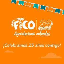 Visit Fico