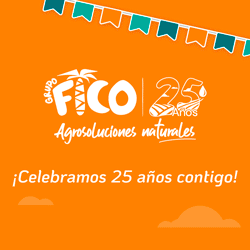 Visit Fico