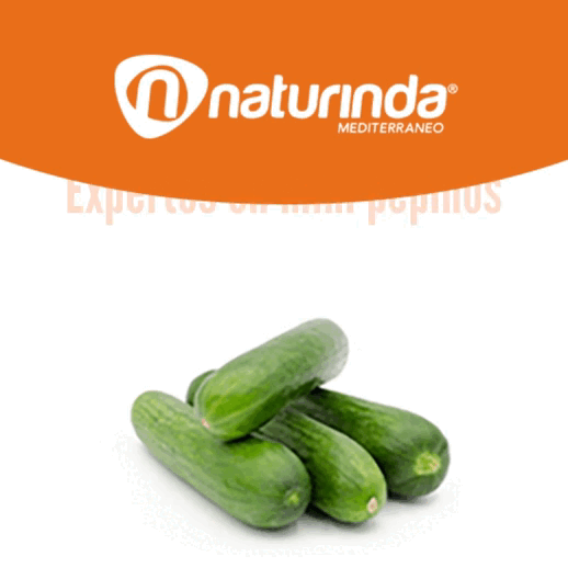 Visit Naturinda