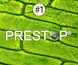 Visit Prestop